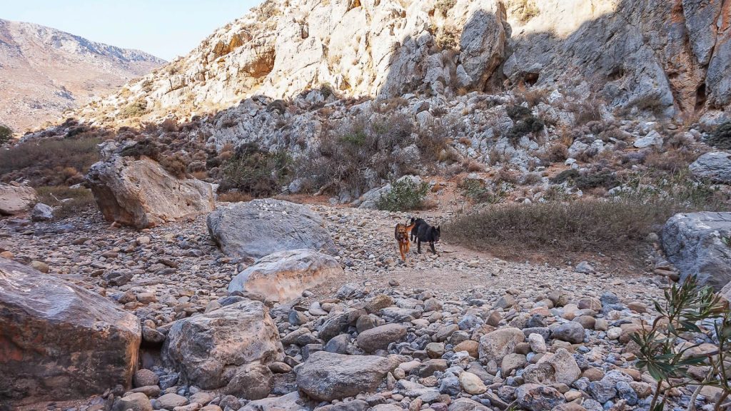 Chochlakies tarpeklis – kelias link tuščio Karoumes paplūdimio. Bendrakeleiviai. Kreta, Graikija | Mano Kreta