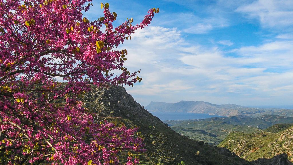 Ekologišku kurortu paverstas Milia kaimas. Panorama važiuojant į Milia. Kreta, Graikija | Mano Kreta