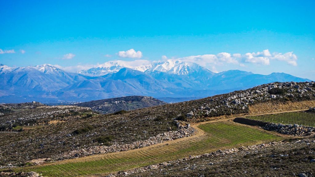 Panorama į Dikti kalnus nuo Tholi forto kalvos. Kreta, Graikija | Mano Kreta