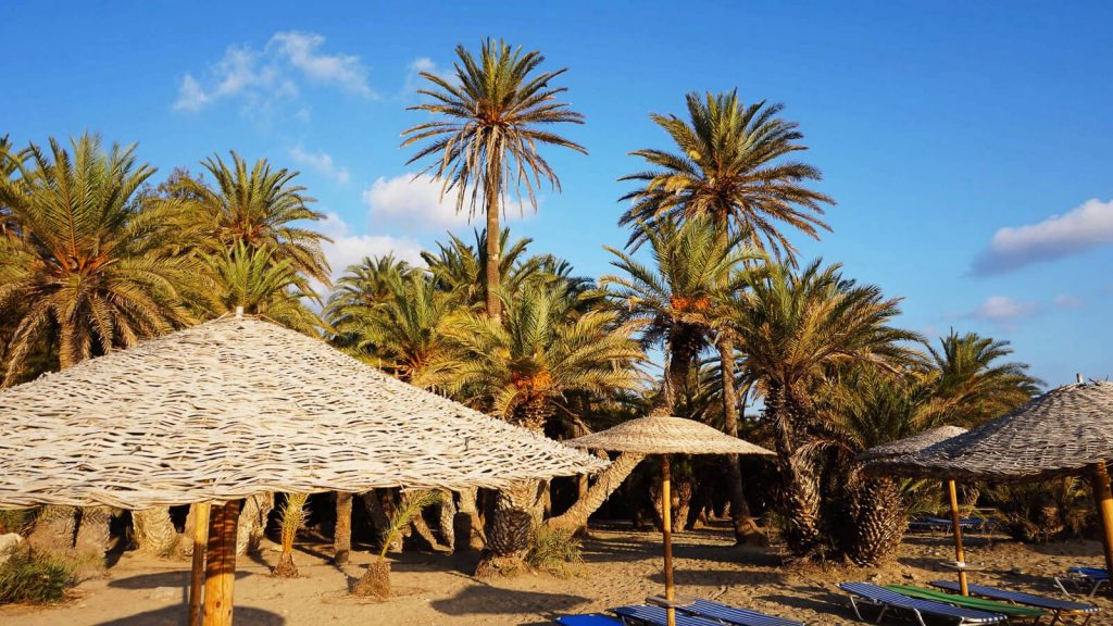 Kretietiškos palmės. Kreta, Graikija | Mano Kreta